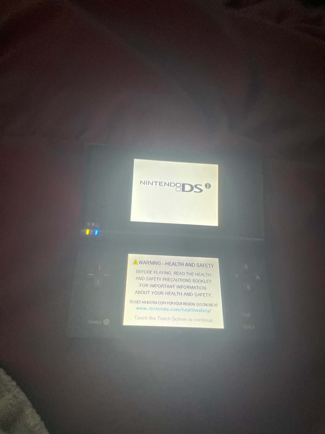 Nintendo DSi with charger