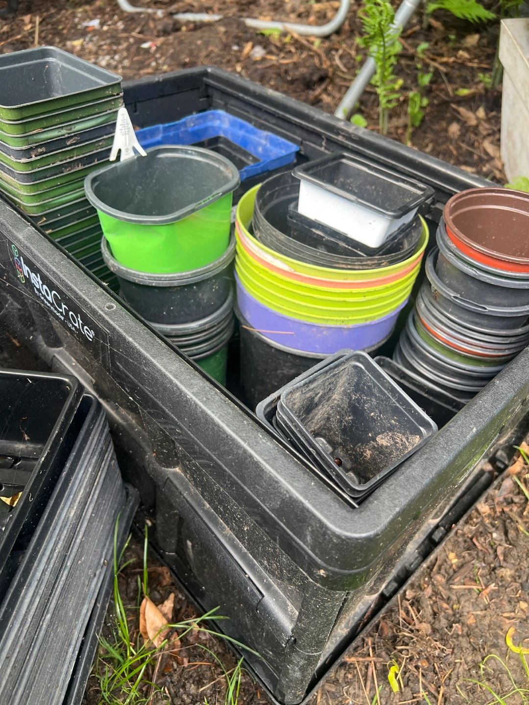 Assorted Plant Pots and Trays - photo 3