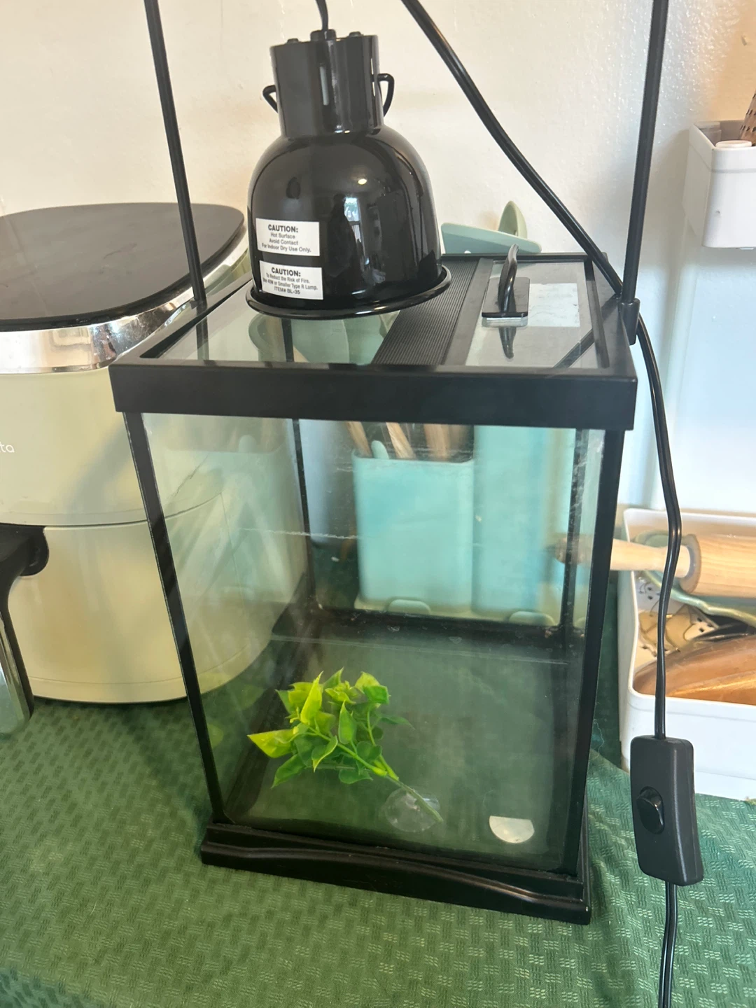 Small Glass Terrarium/Tank with Lamp - photo 3