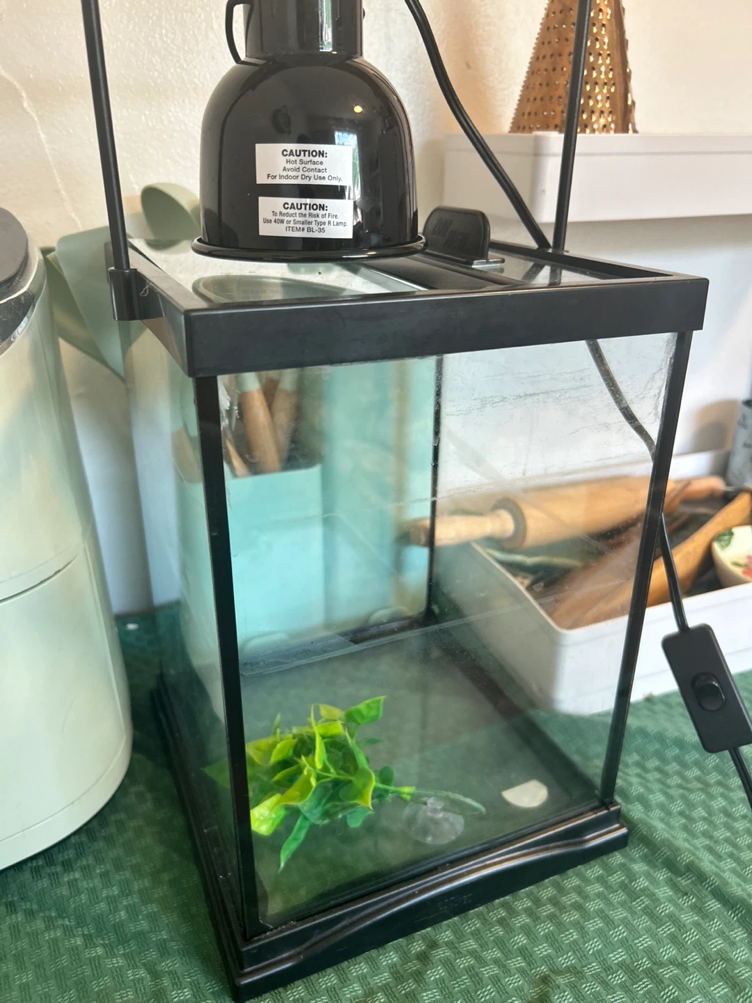 Small Glass Terrarium/Tank with Lamp - photo 2