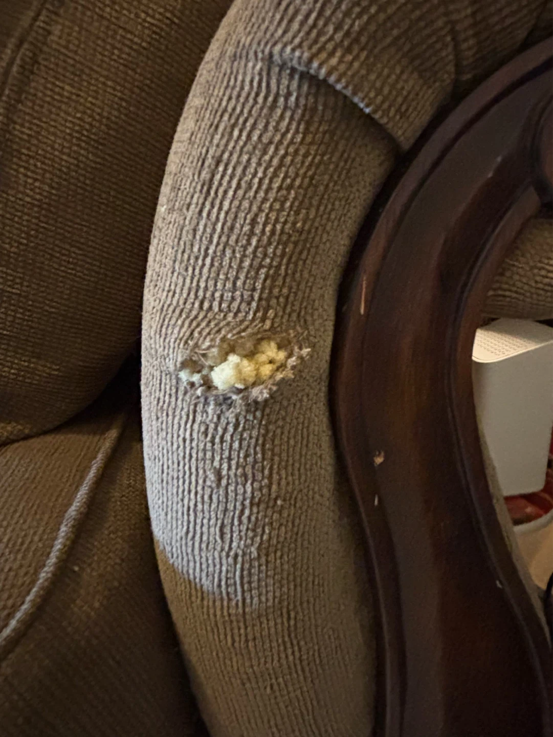 Free Tan Sofa with Decorative Pillows - photo 3