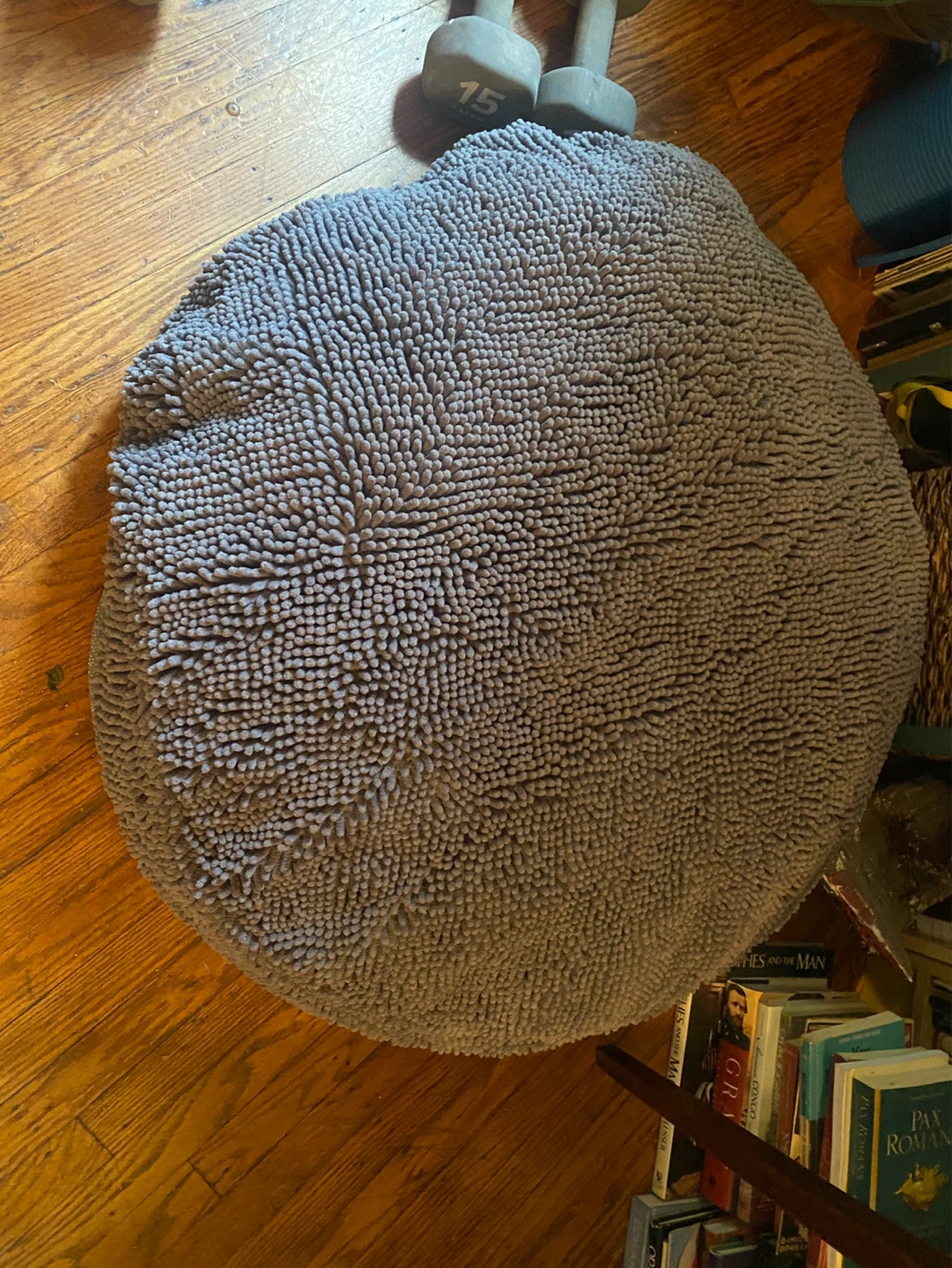 Comfy dog bed