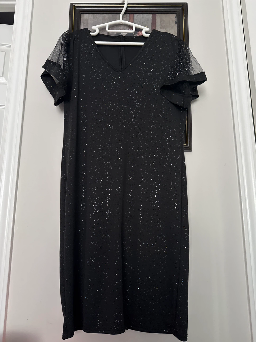 Black Sparkly Tulle Sleeve Dress