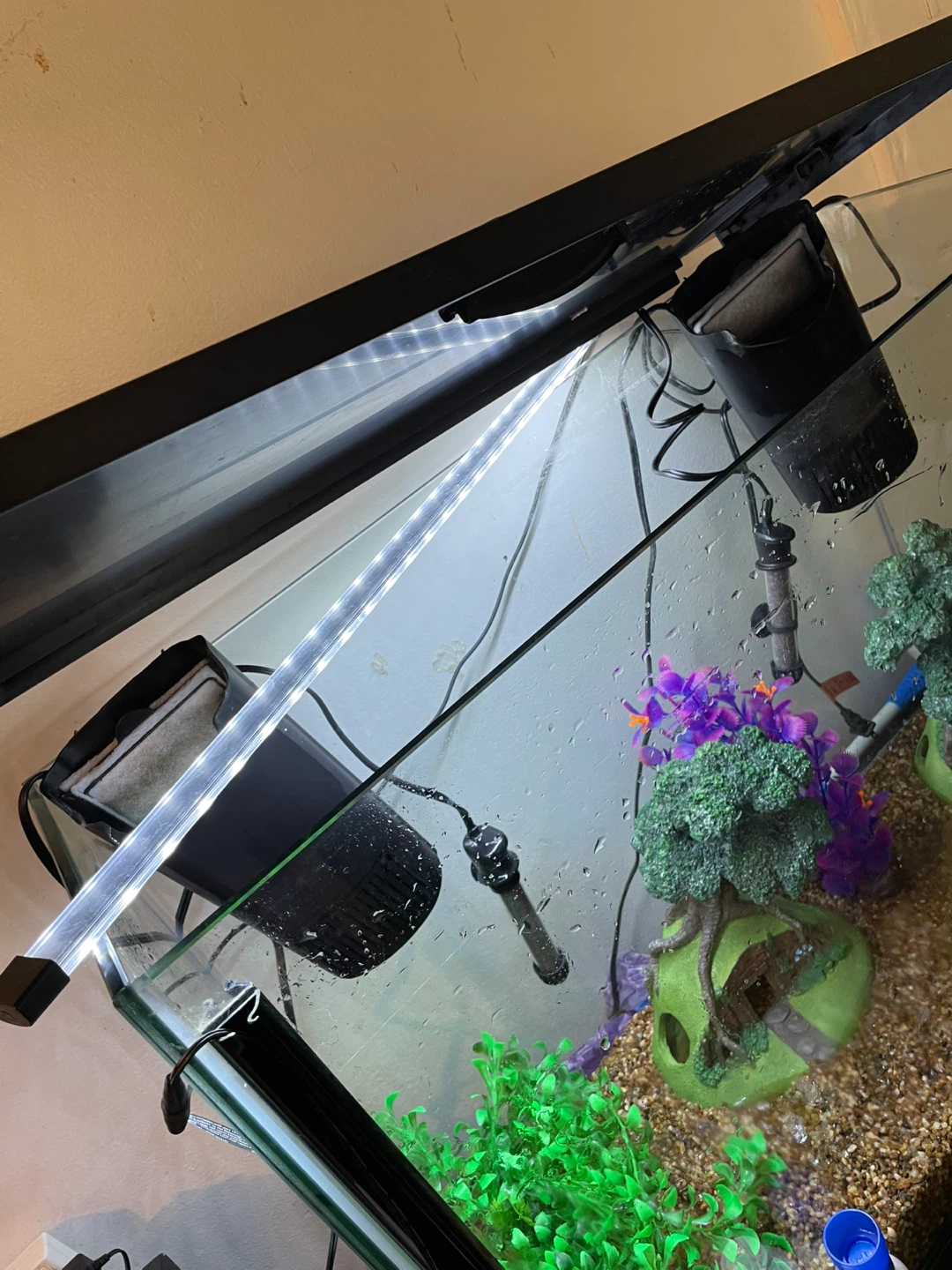 37 Gallon Fish Tank & Accessories FIRM PRICE - photo 3