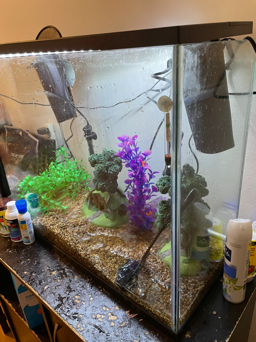 37 Gallon Fish Tank & Accessories FIRM PRICE - photo 4