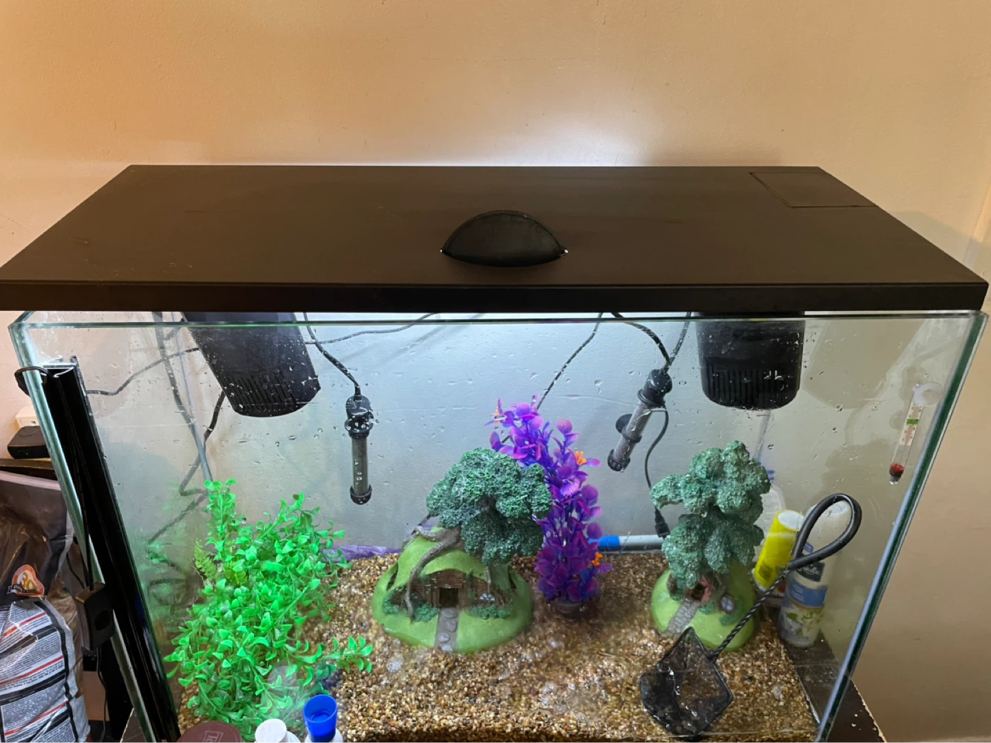 37 Gallon Fish Tank & Accessories FIRM PRICE - photo 2