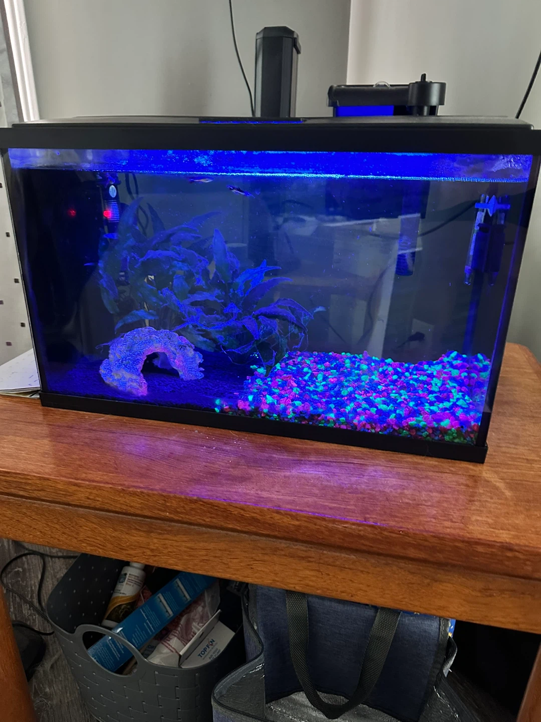 10 Gallon Fish Tank - photo 2