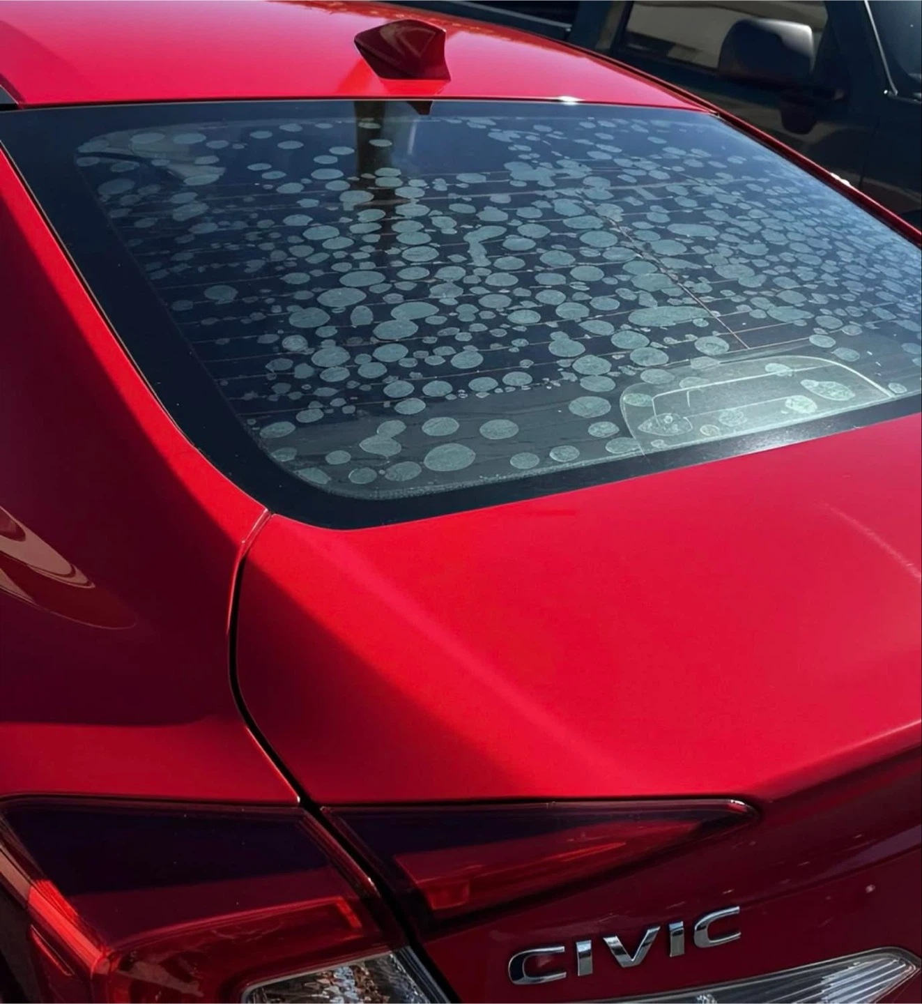 Peeling Car Tint? Say Goodbye to Cheap Films!