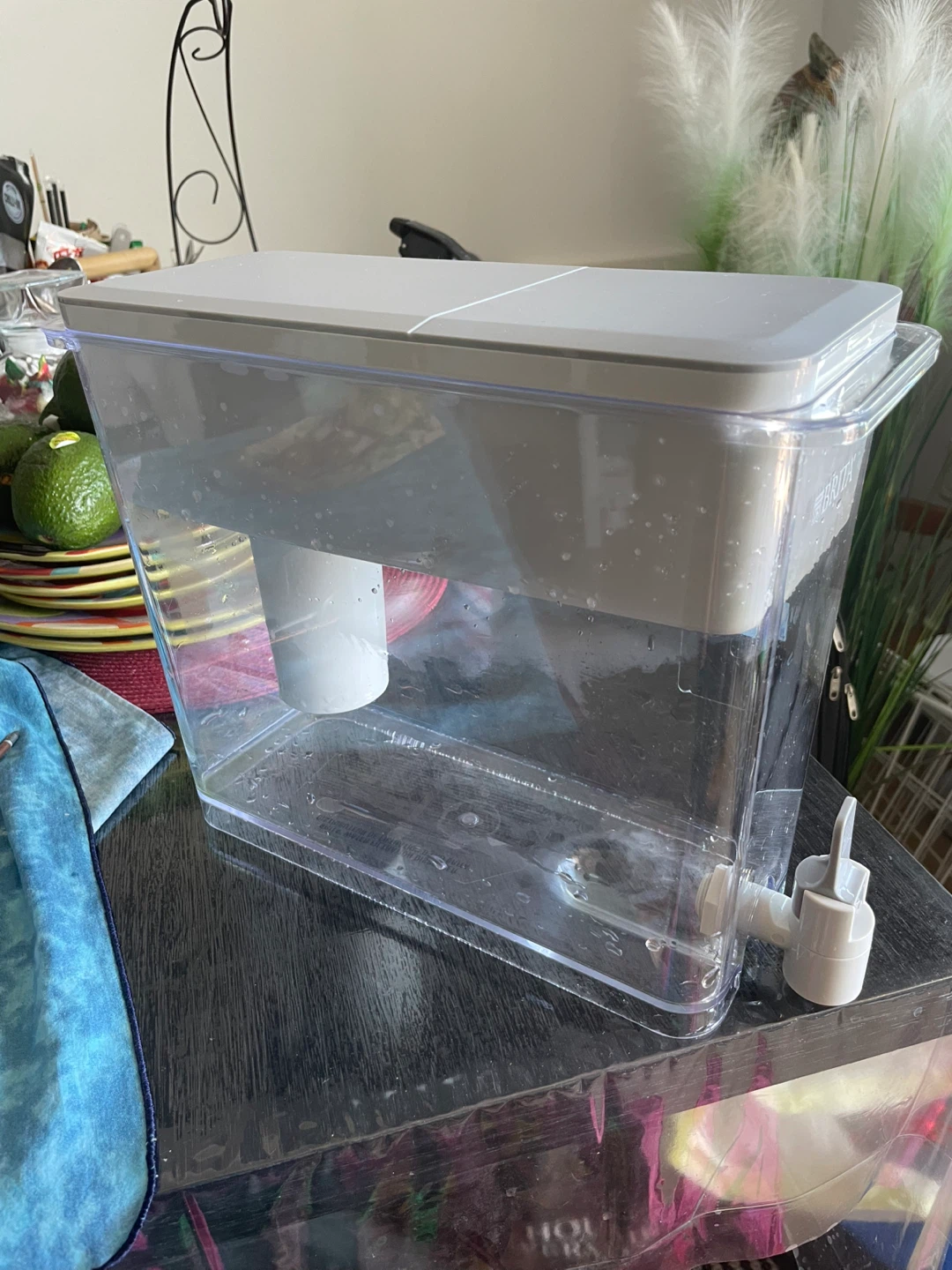 Brita Water Filter Pitcher Dispenser