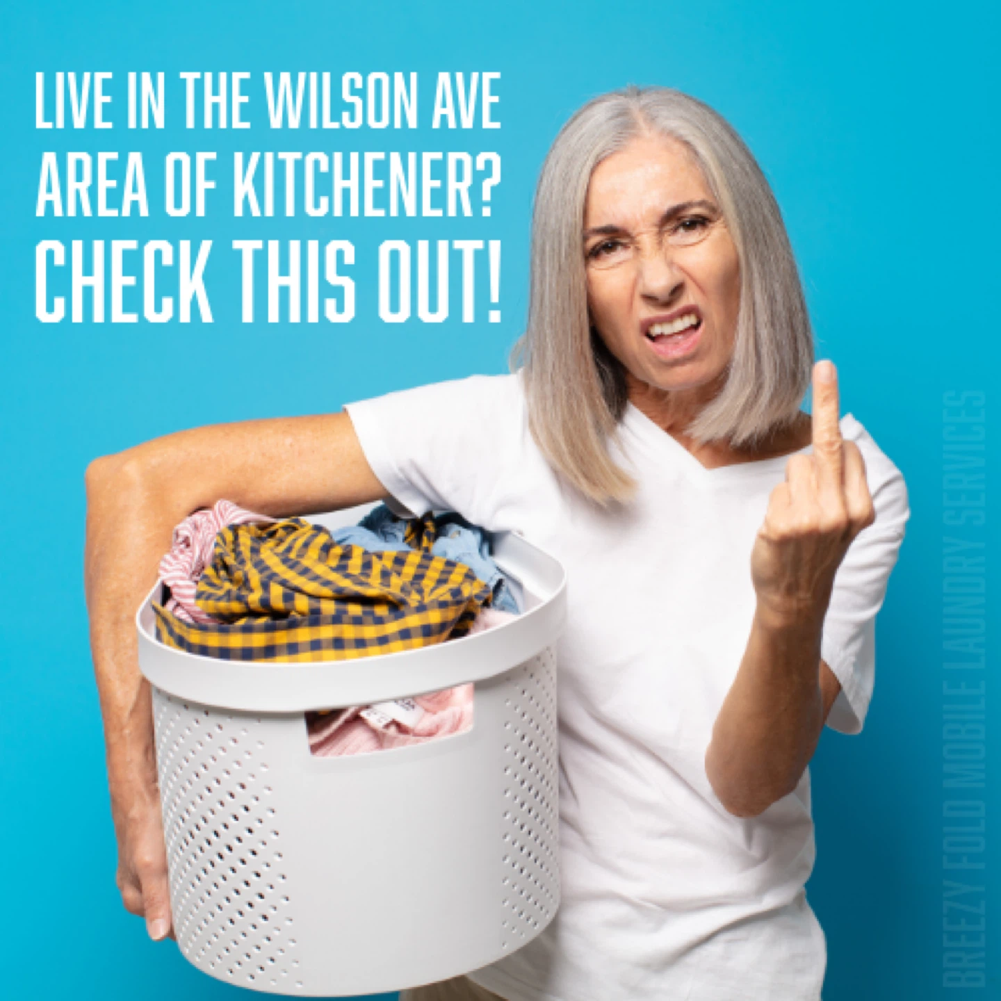 LIVE NEAR WILSON AVE IN KITCHENER?