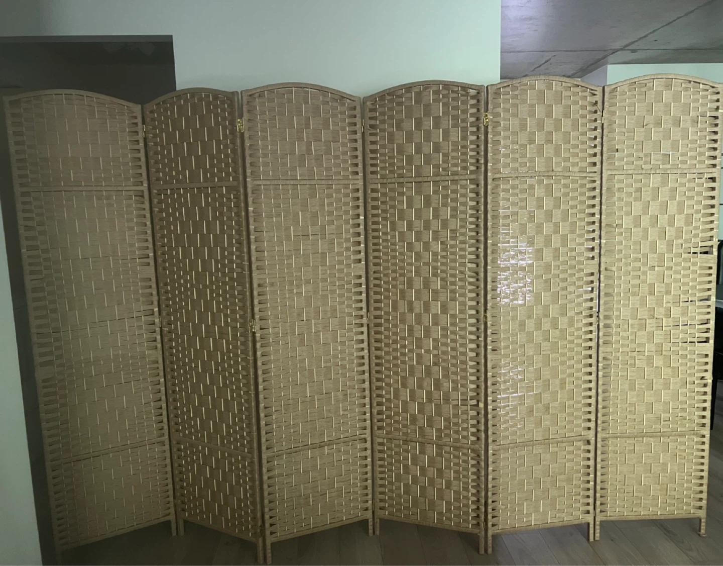 6-Panel Room Divider Screen