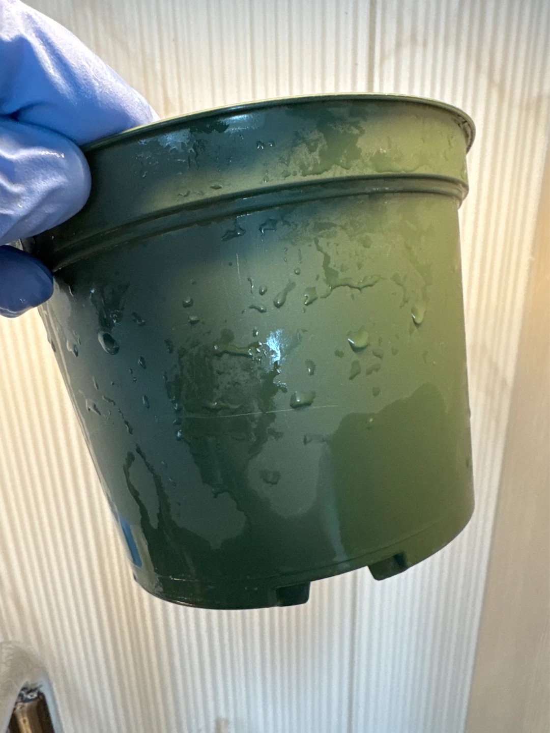 6 inch Green Plastic Plant Pot