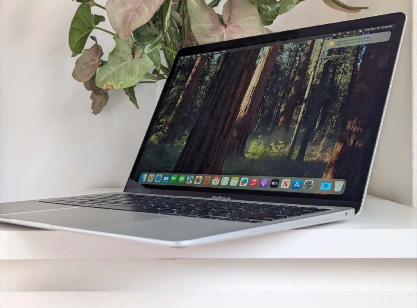 MacBook Air Silver (Retina, 13-inch, 2020) — 250GB / 8GB - photo 3