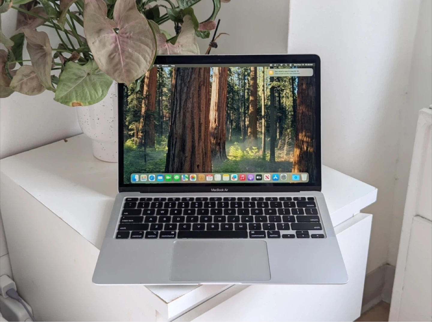 MacBook Air Silver (Retina, 13-inch, 2020) — 250GB / 8GB