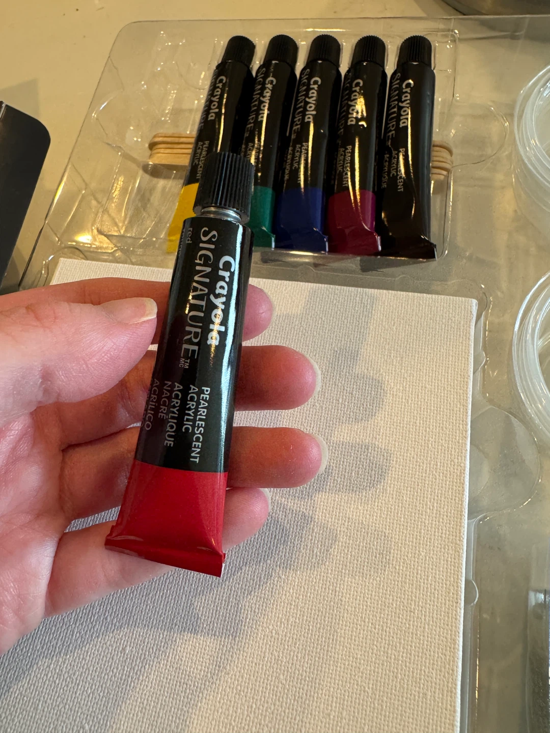 Brand New Crayola Paint Pour Canvas Art Kit - photo 5