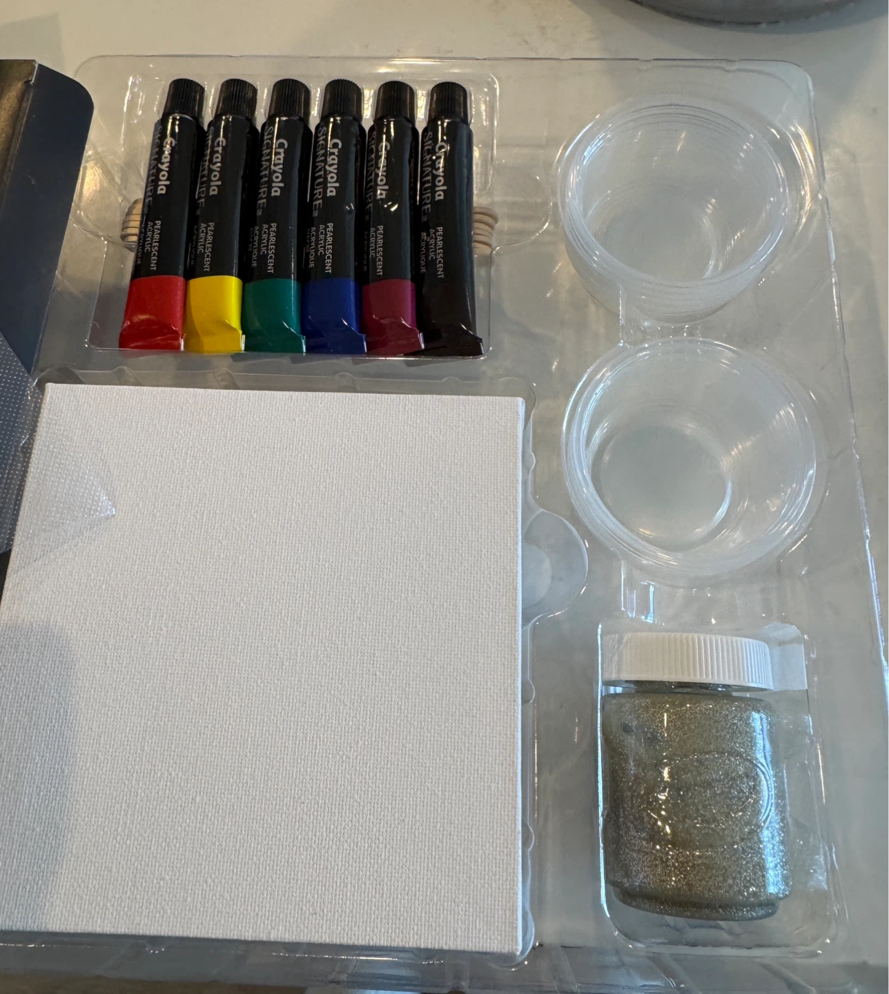 Brand New Crayola Paint Pour Canvas Art Kit - photo 2