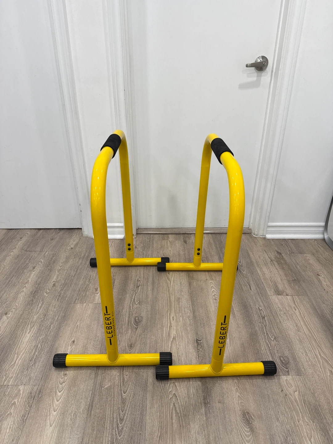 Lebert Fitness Dip Bars - photo 2