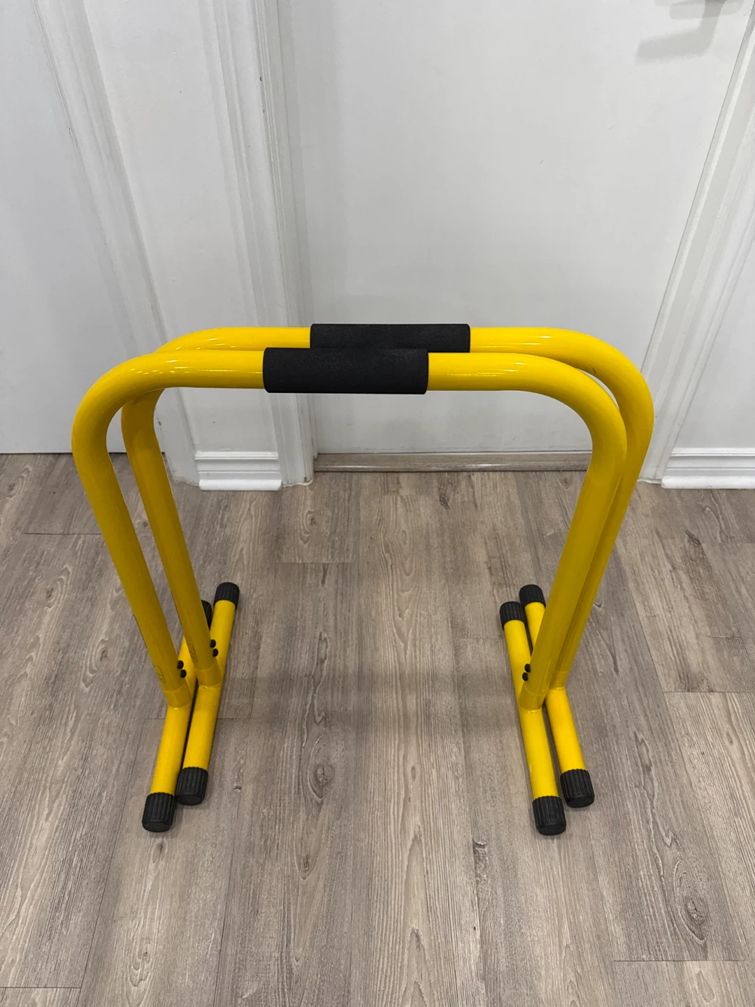 Lebert Fitness Dip Bars