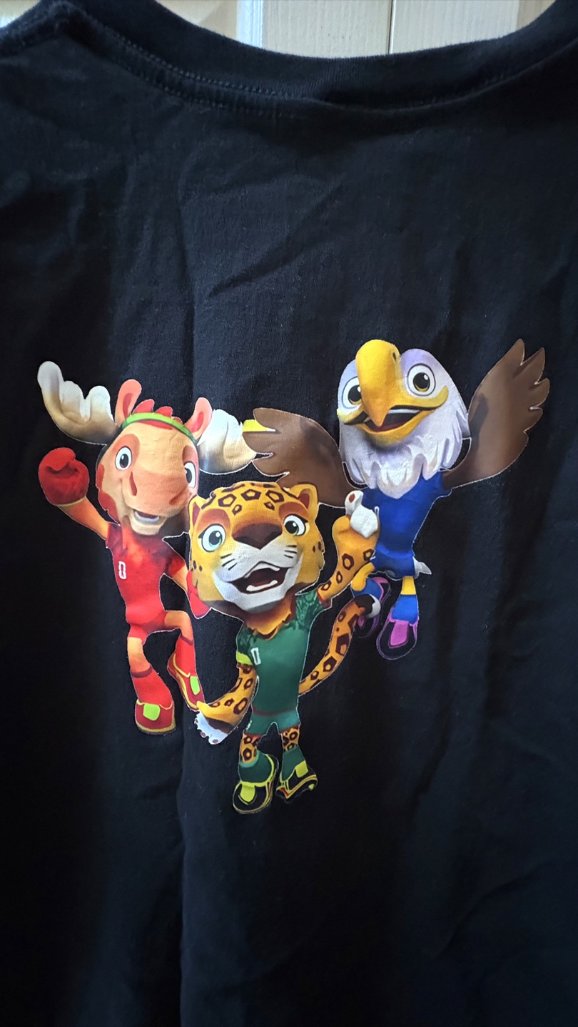 FIFA World Cup T-Shirt for Adults - Petit M - photo 5