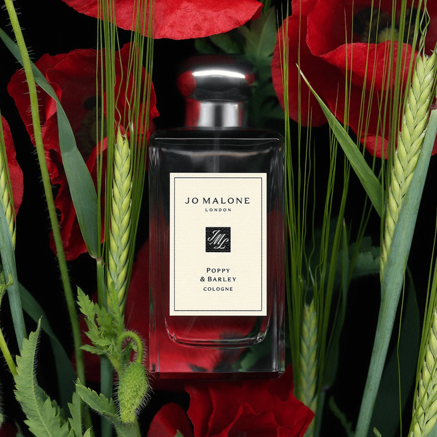 Jo Malone Poppy & Barley Cologne 100ml - photo 5