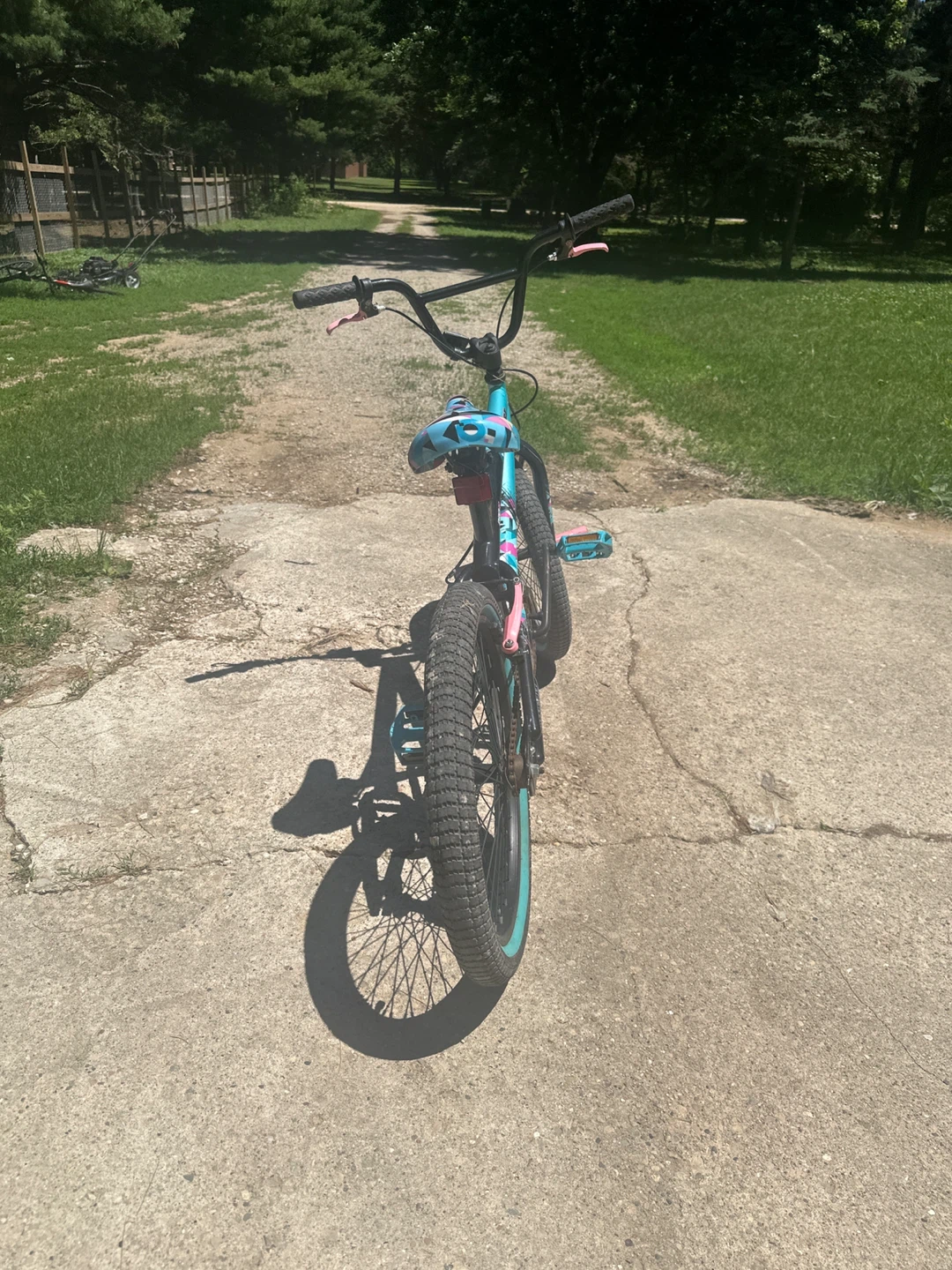 Bike without training wheels - photo 4