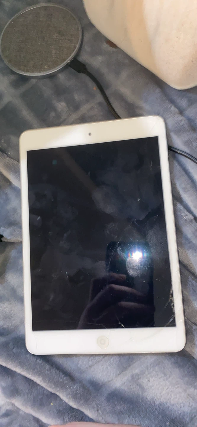 Apple iPad Mini White