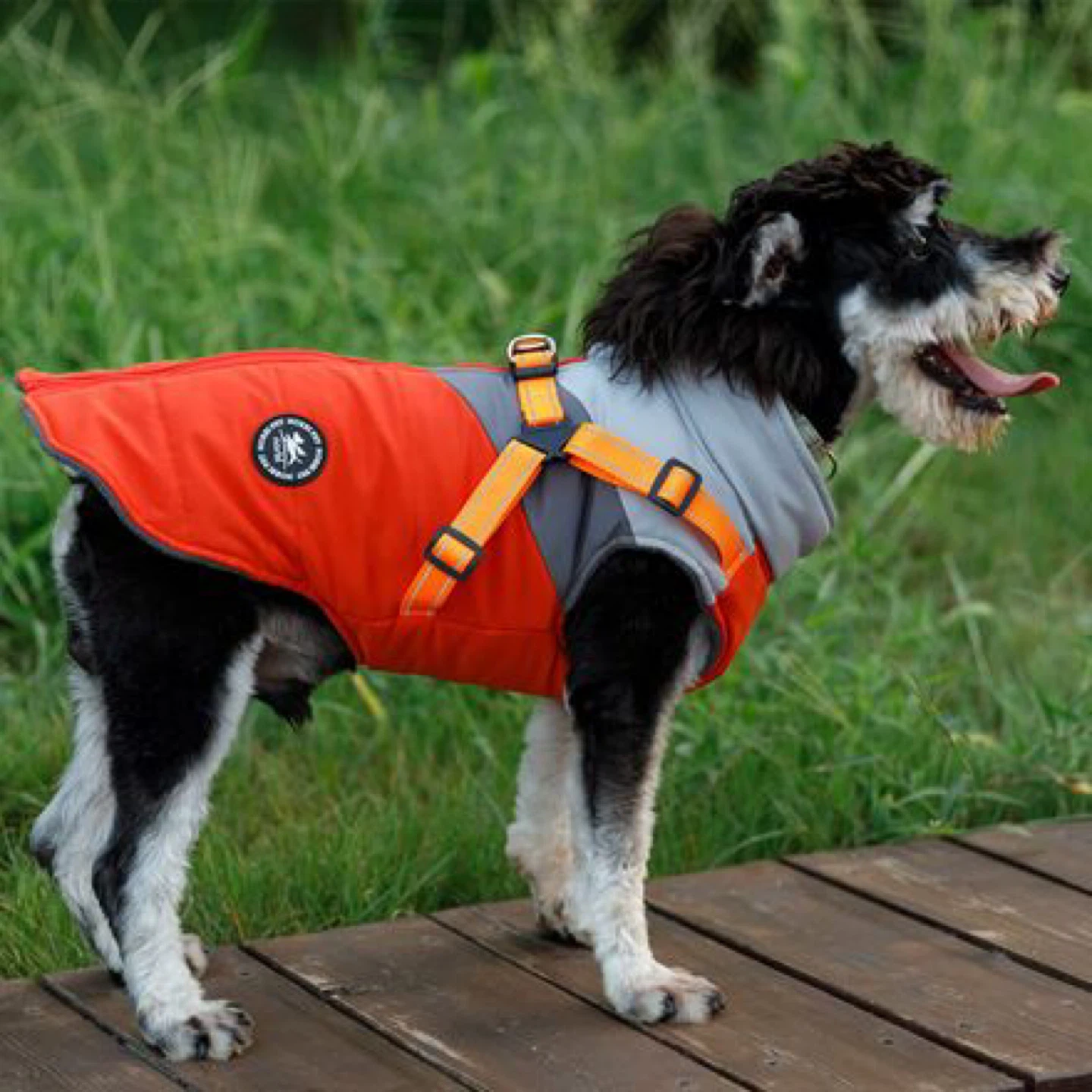 Orange and Grey Dog Winter Jacket with Harness - photo 2