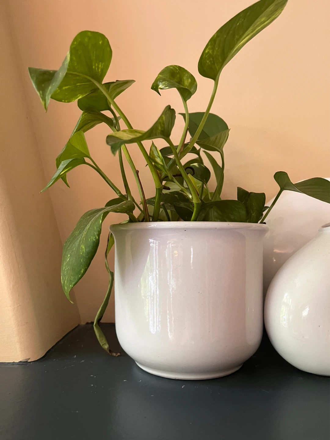 White flower pots $5 each - photo 2