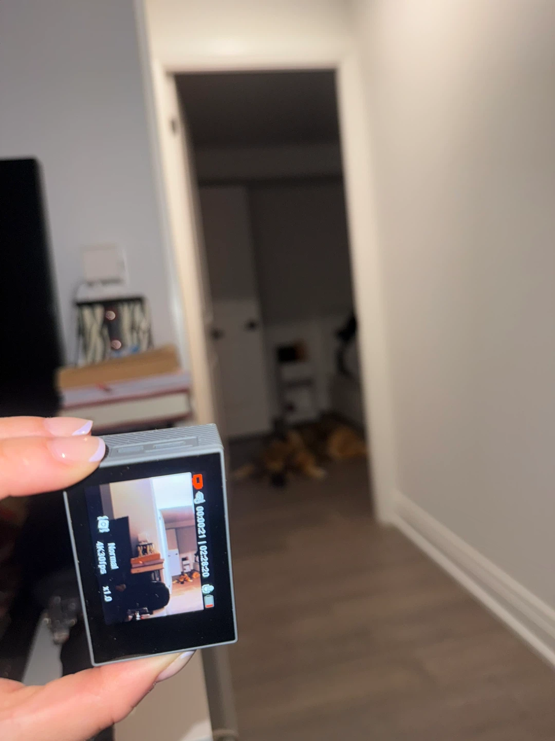 AKASO Brave 4 Pro Action Camera - photo 2