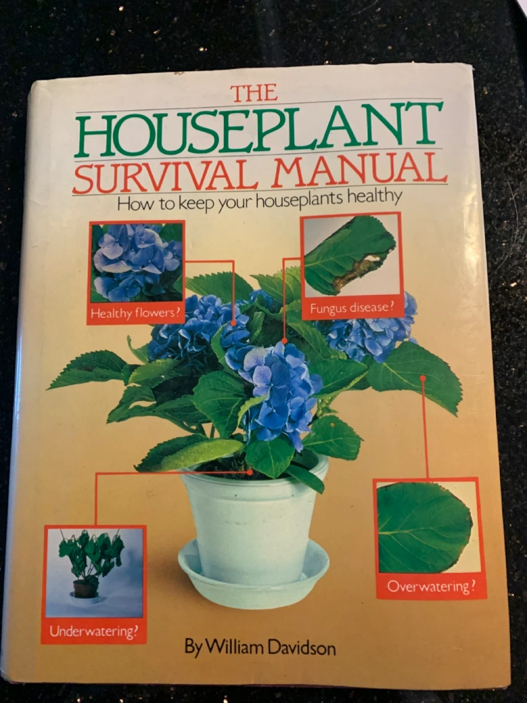 Great Gardens from Everyday Plants Book - photo 2
