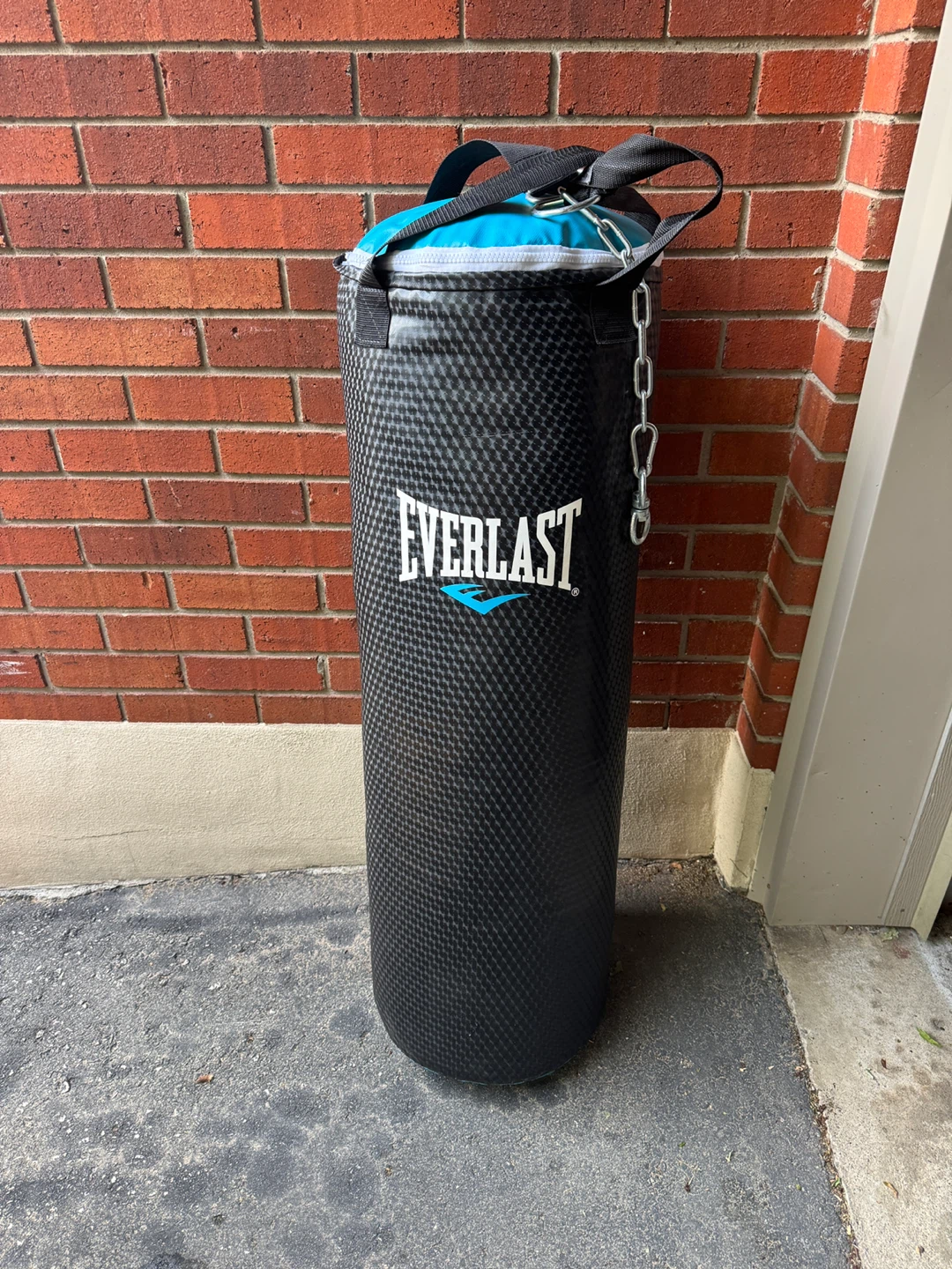 Everlast 80lb Heavy Bag – Like New
