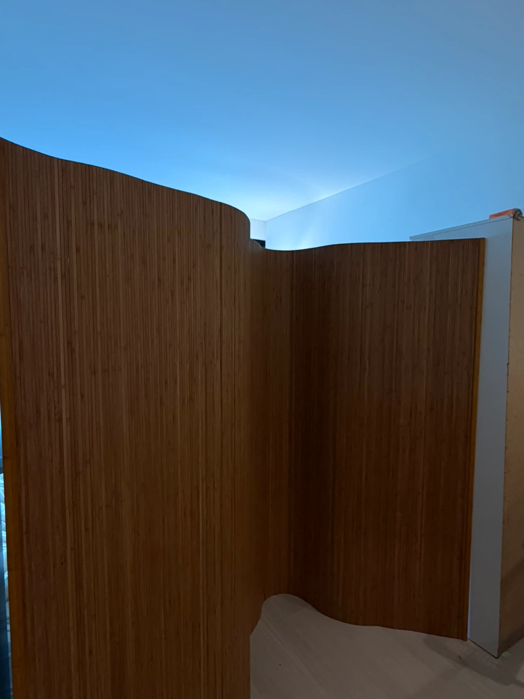 Bamboo Room Divider Screen (original $350) - photo 3