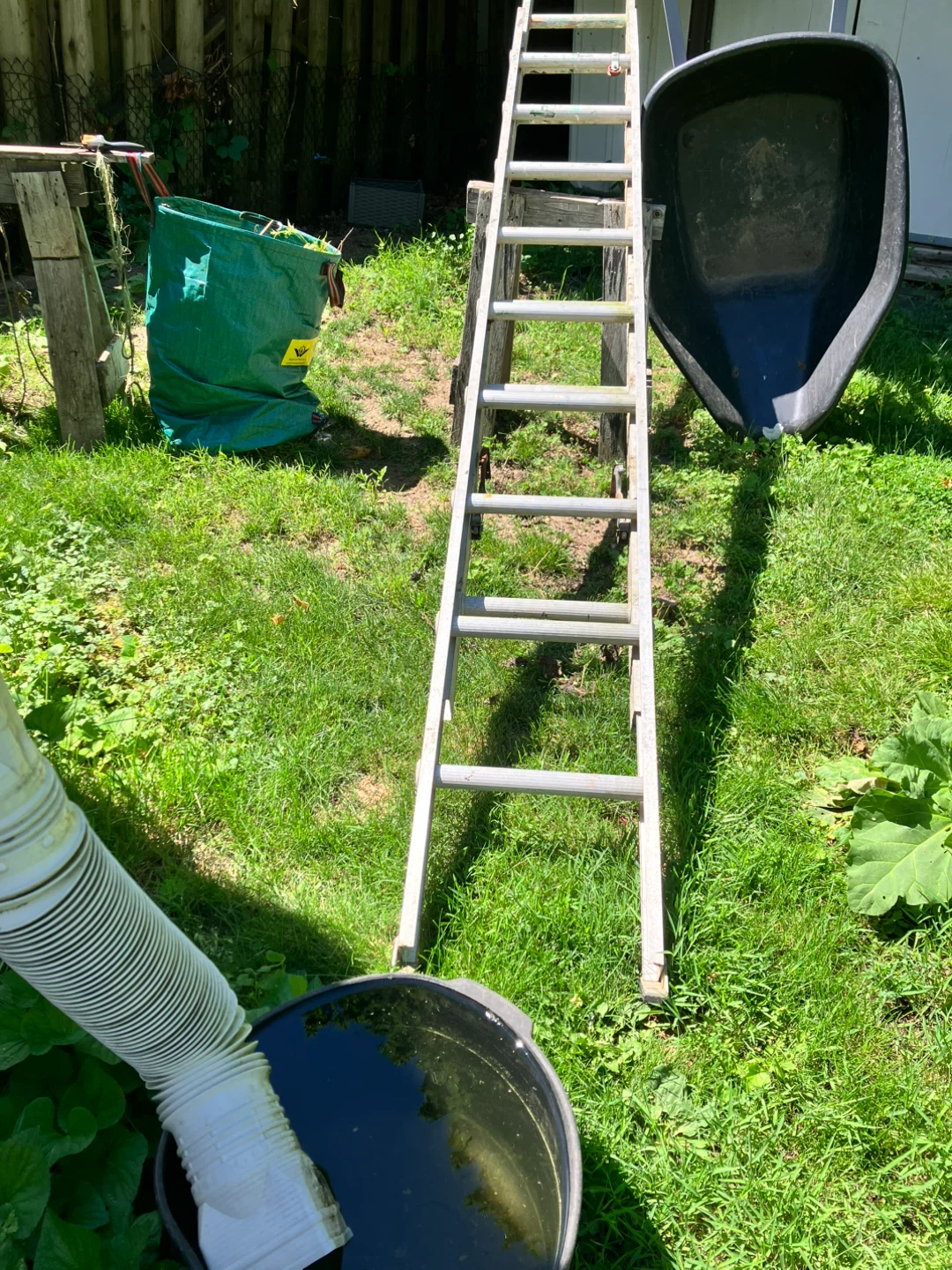 Aluminum Extension Ladder - photo 4