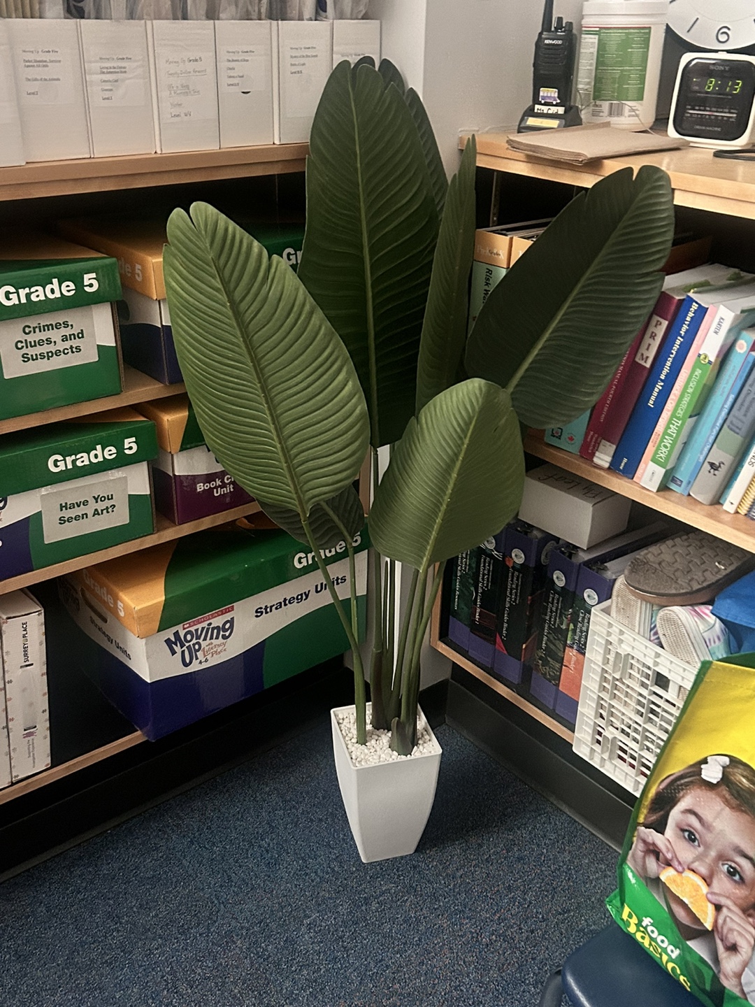 Artificial Bird of Paradise Plant in White Pot