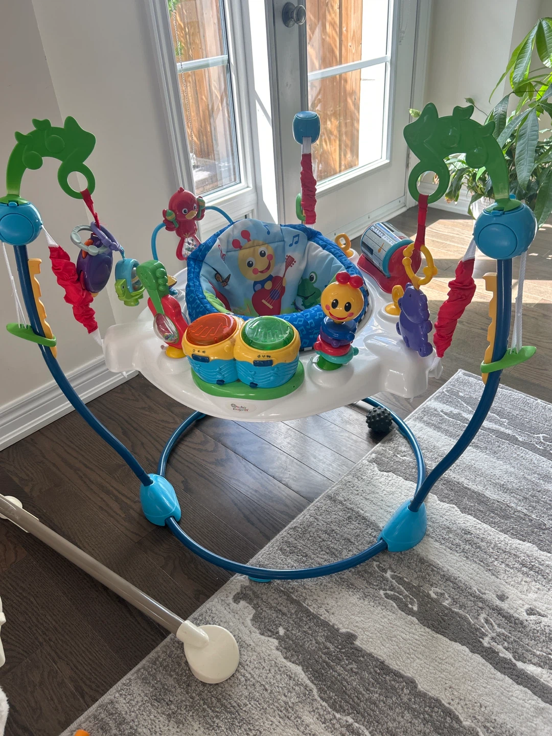 Baby Einstein Musical Jumper