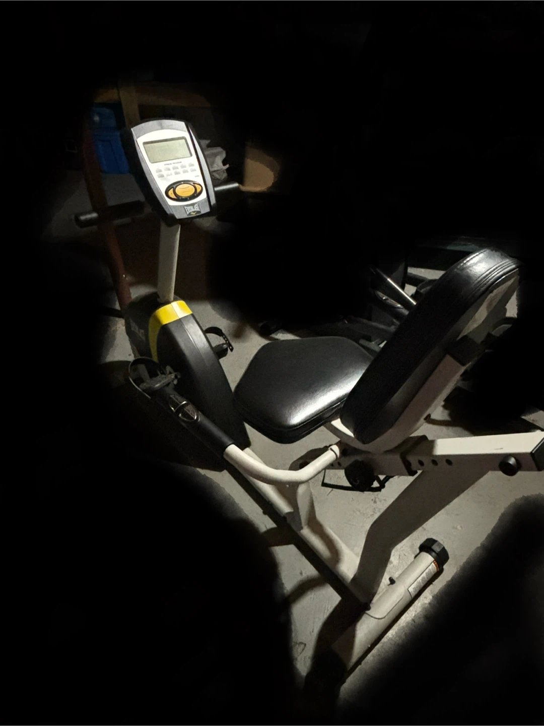Everlast Fitness Bike