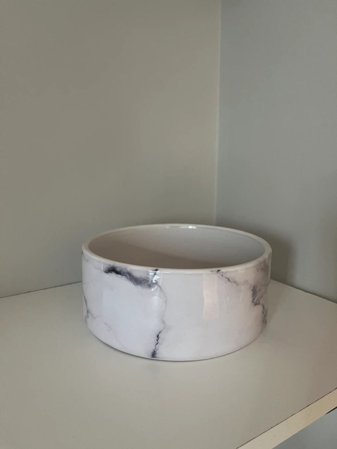 Two Dog Bowls - photo 4