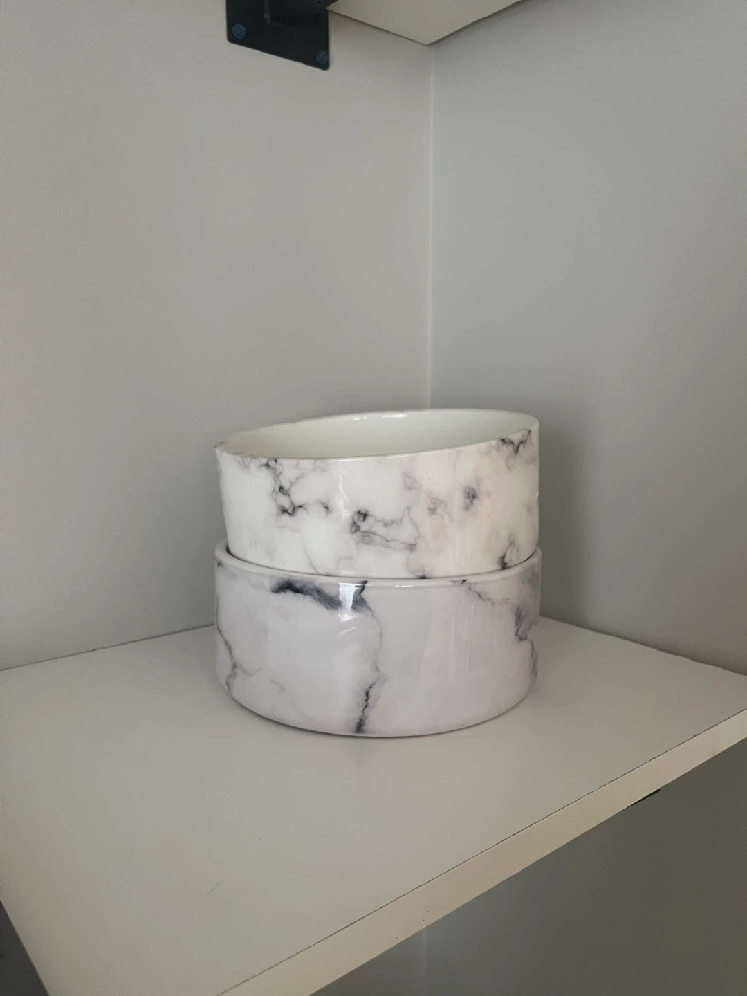 Two Dog Bowls - photo 5