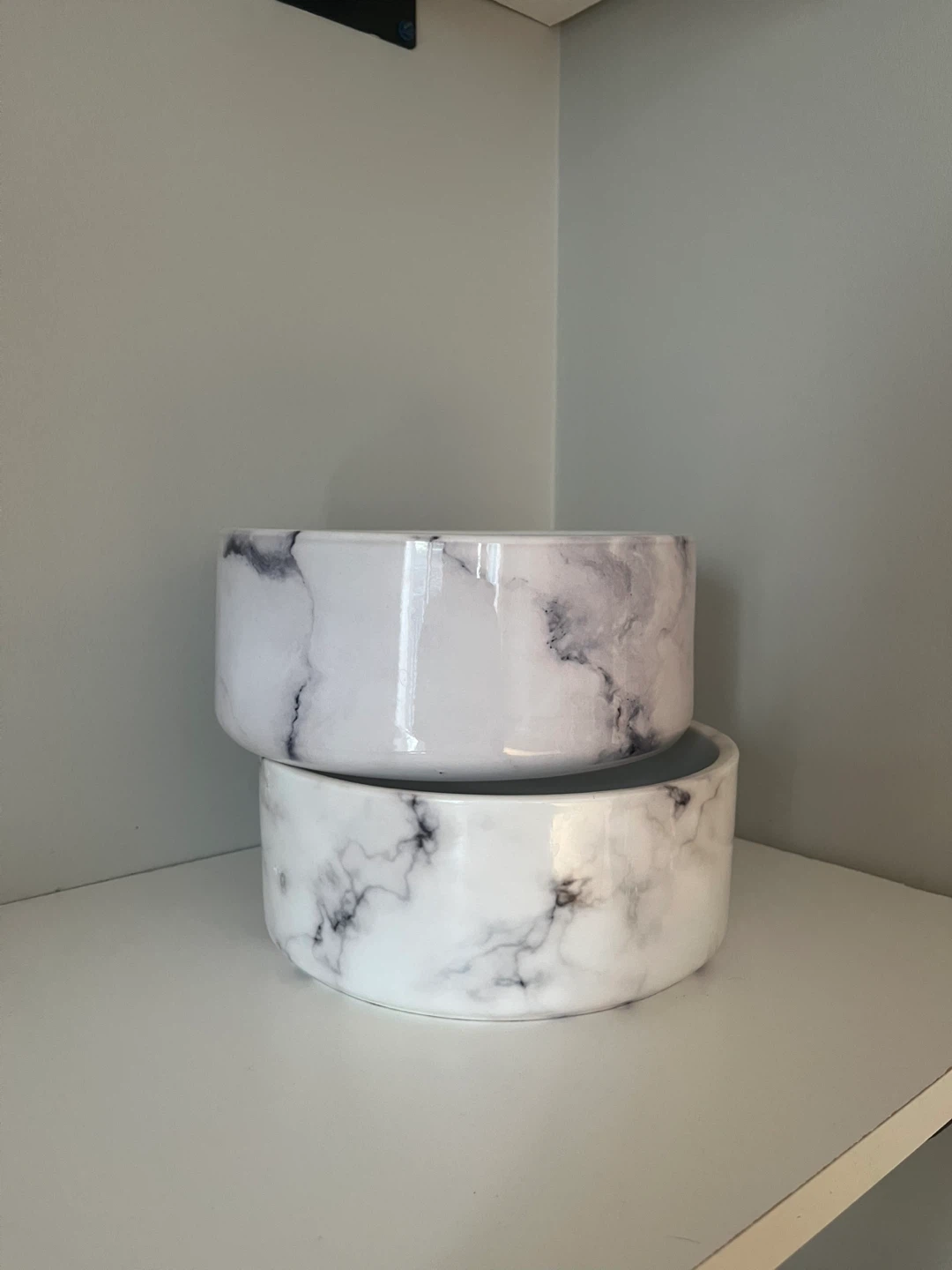 Two Dog Bowls