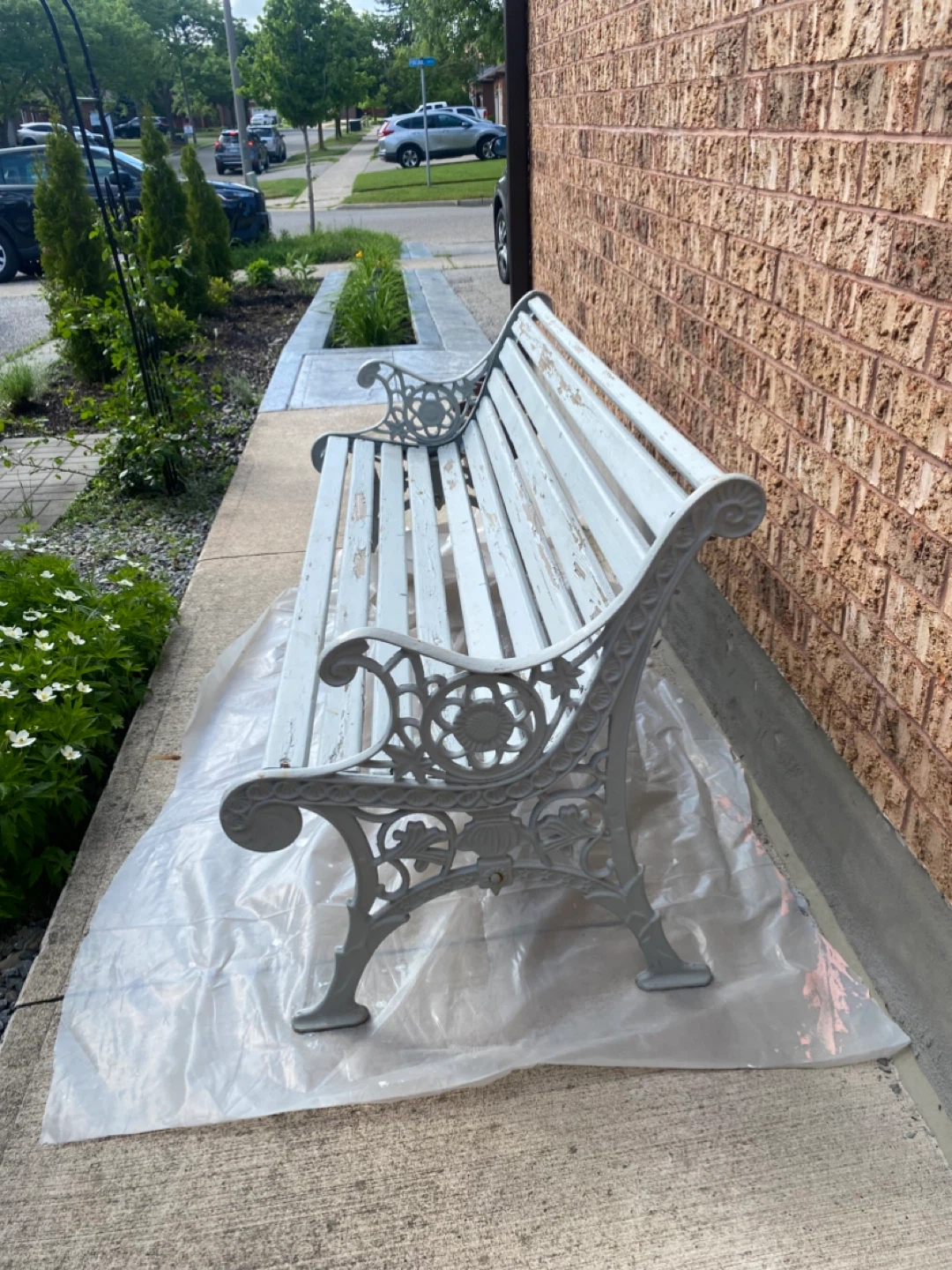 Garden Bench Looking for a New Home 🌿