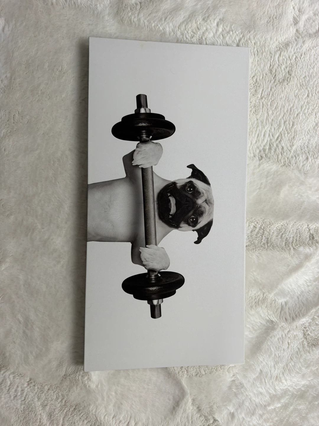Dog Art Canvas Prints - Pug & French Bulldog - photo 3