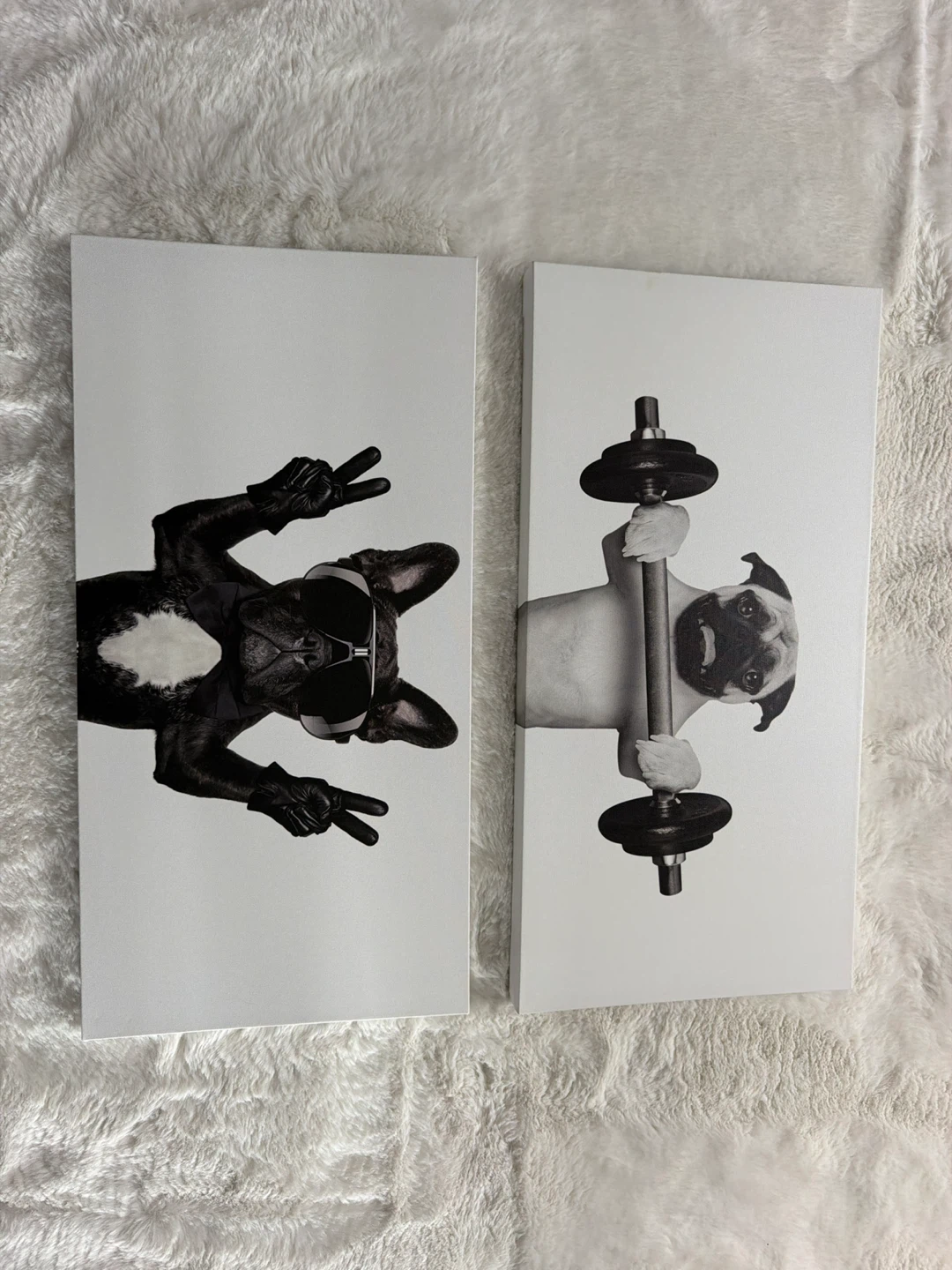 Dog Art Canvas Prints - Pug & French Bulldog