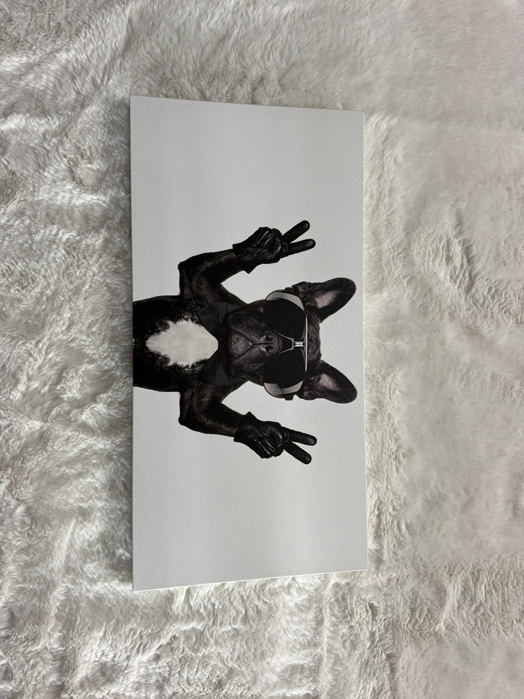 Dog Art Canvas Prints - Pug & French Bulldog - photo 2