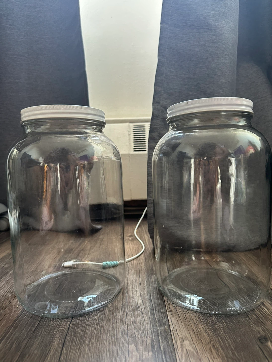 2 x 1 Gallon Glass Jars with Lids