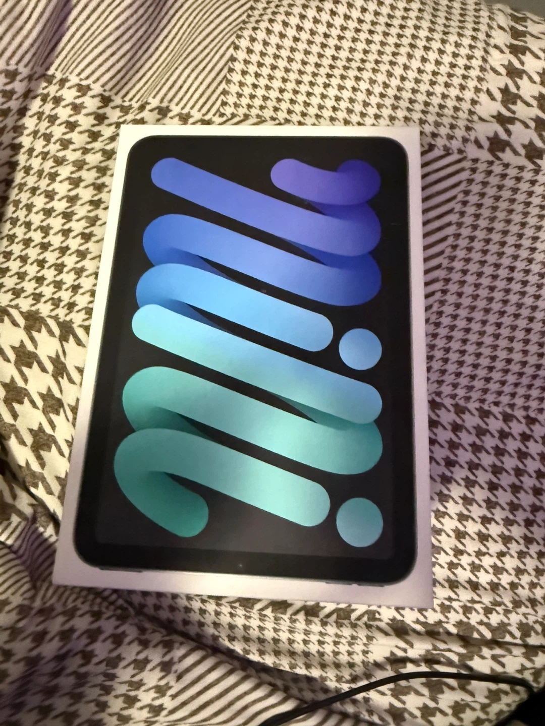 iPad mini 7