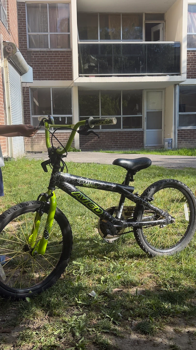 Avigo BMX Bike