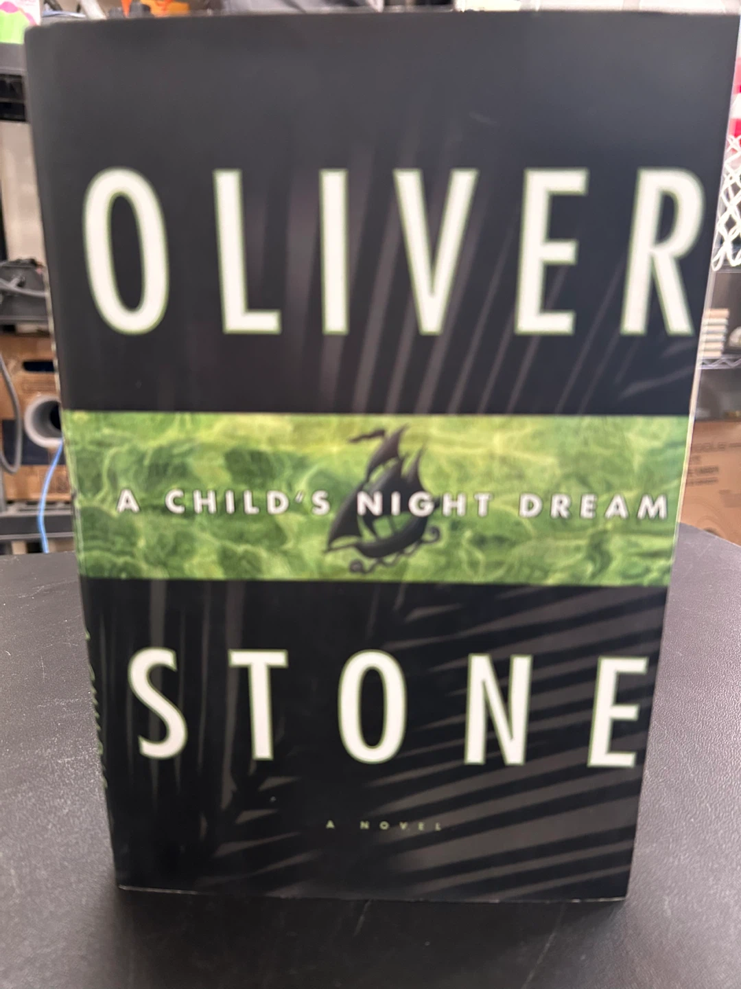 Oliver Stone A Child's Night Dream Novel