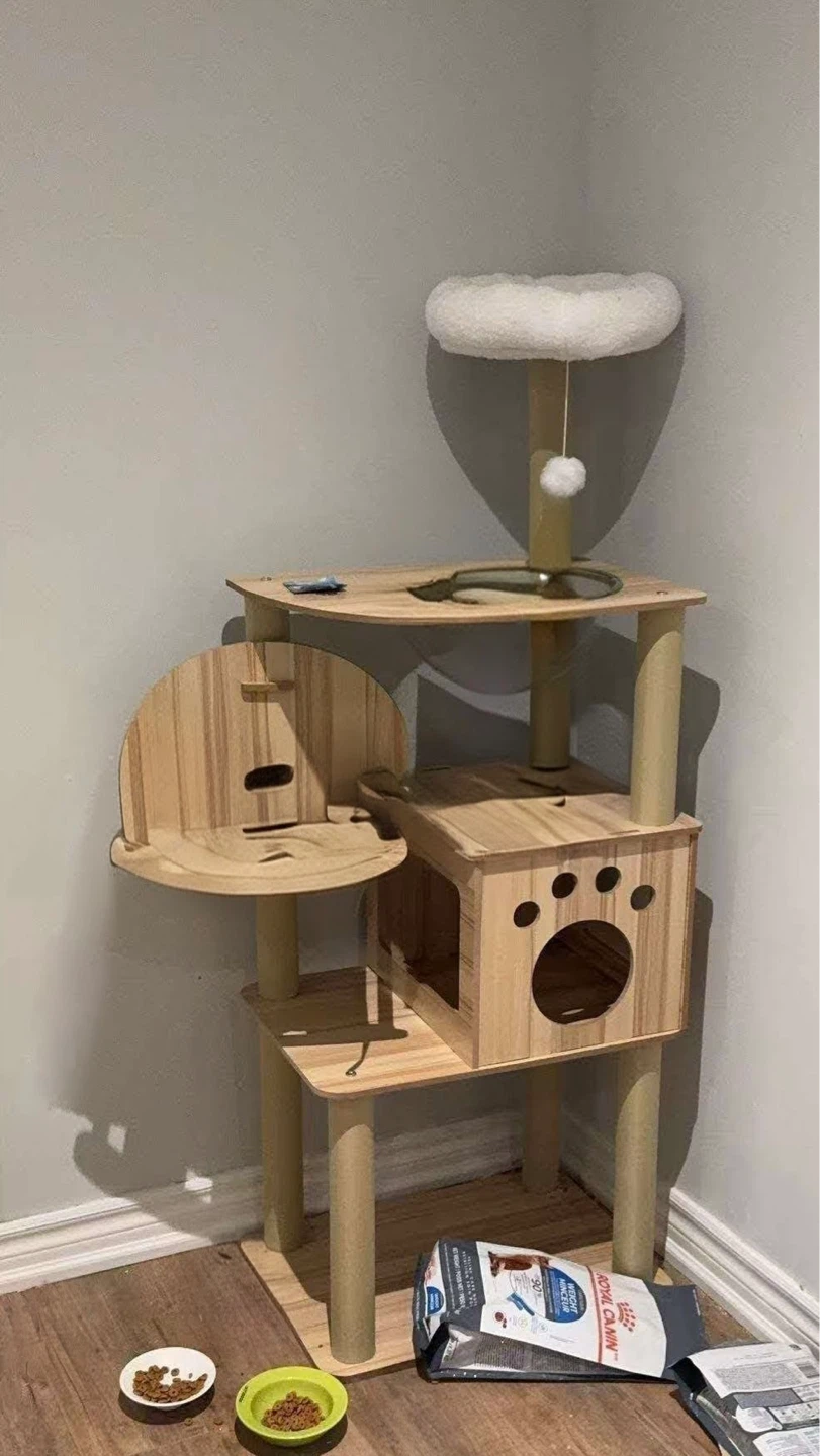 Wooden Cat Tree with Condo and Perch