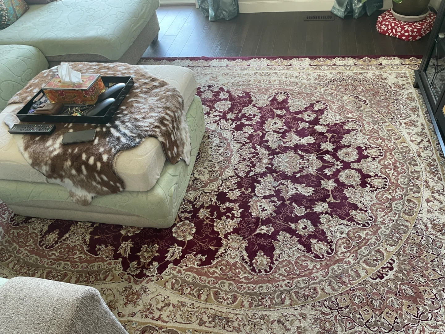 Persian Style Area Rug
