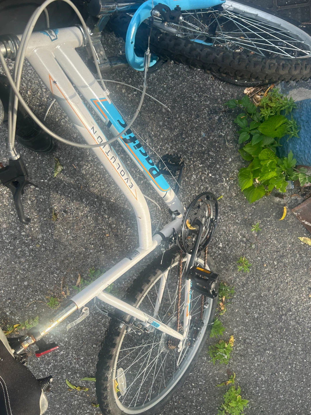 Pacific Evolution Mountain Bike - photo 3